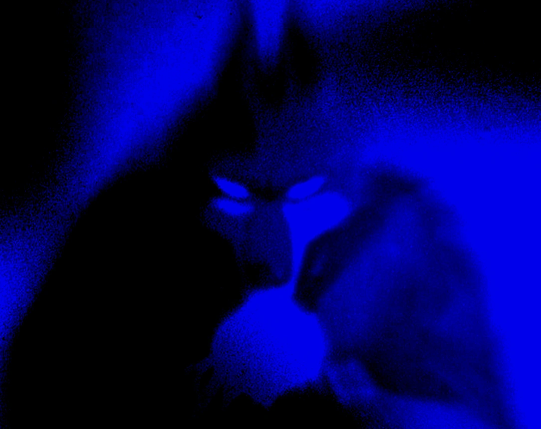 Alfa by Design Illustration key visual