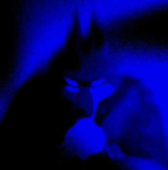 Alfa by Design Illustration key visual