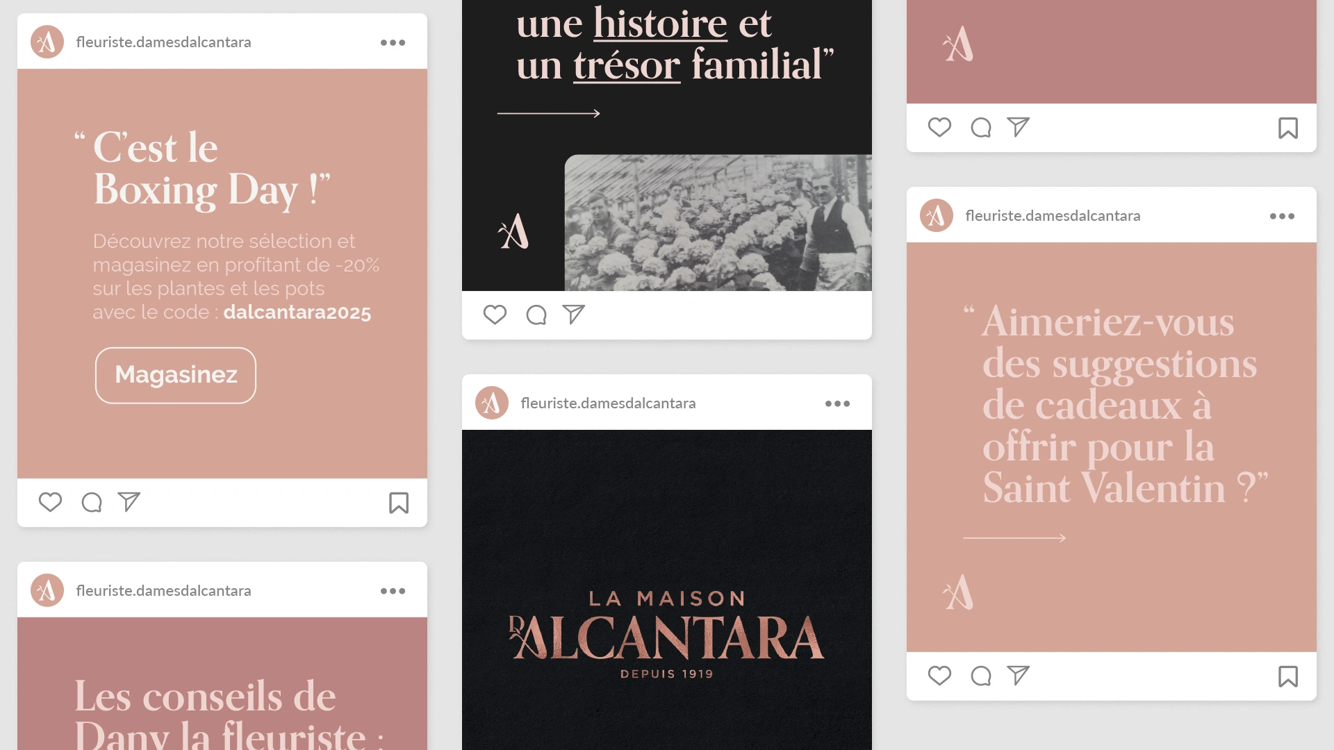 La Maison d'Alcantara instagram posts by Alfa by Design